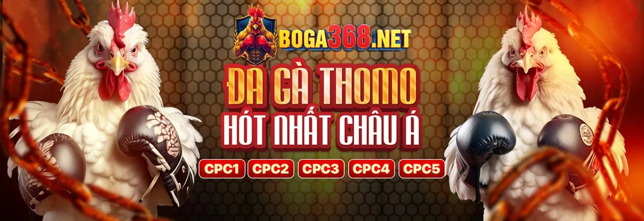 Khuyến mãi độc quyền zo98